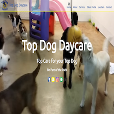 Top Dog Daycare